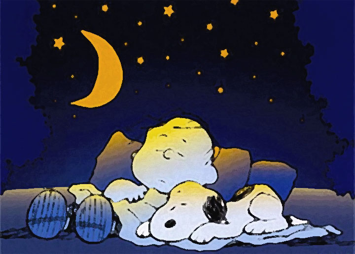 Cadere mentre ci si addormenta  (Snoopy e Charlie Brown addormentati)