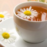 Fiori di camomilla Camomilla in tazza
