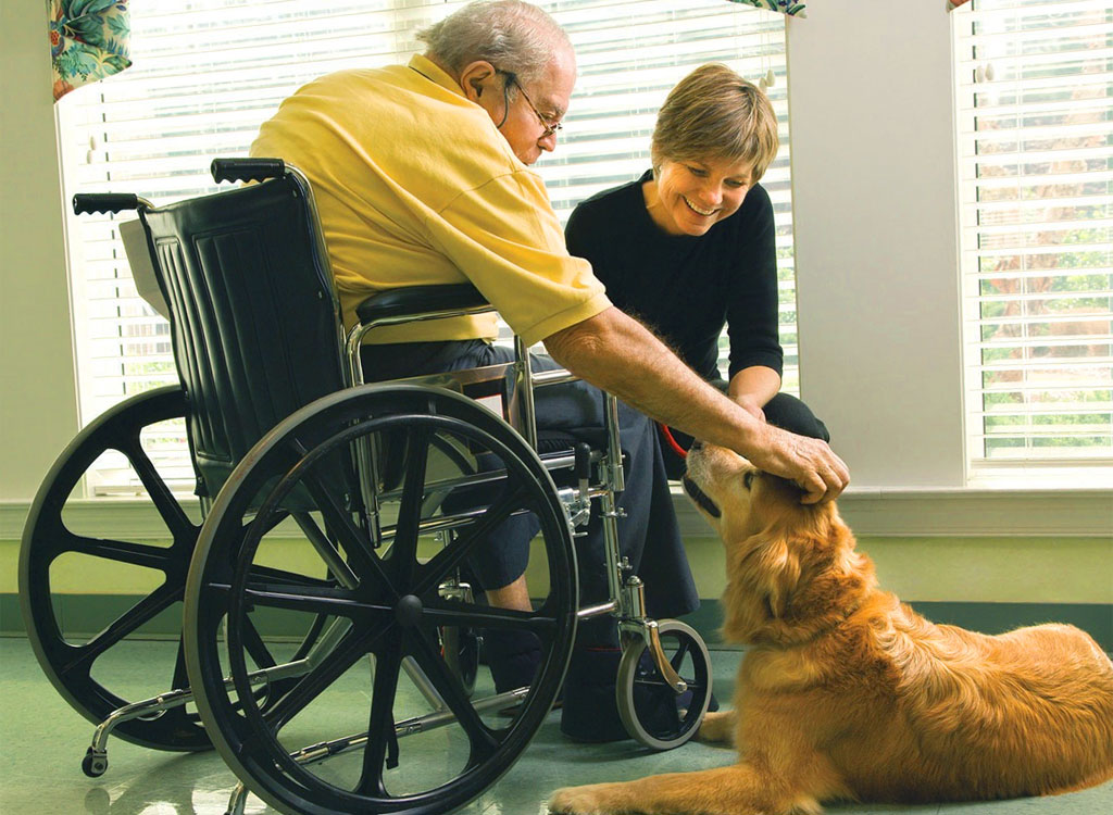 Pet-Therapy - con gli anziani