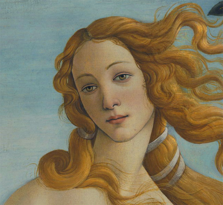 Il dettaglio del viso della Venere di Botticelli