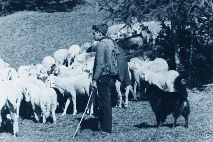 I Pastori - foto antica