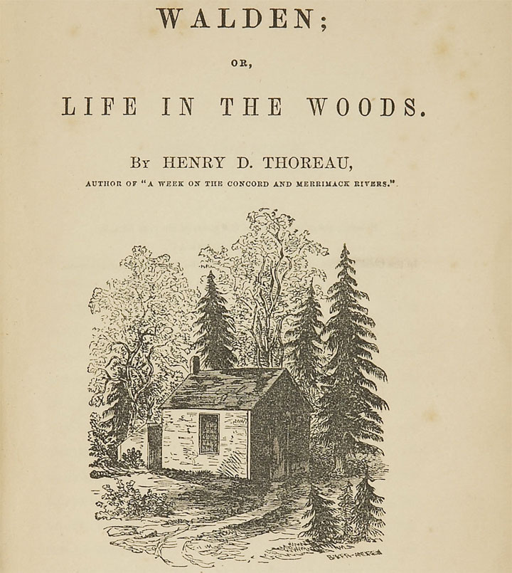 Walden life in the woods - book - summary
