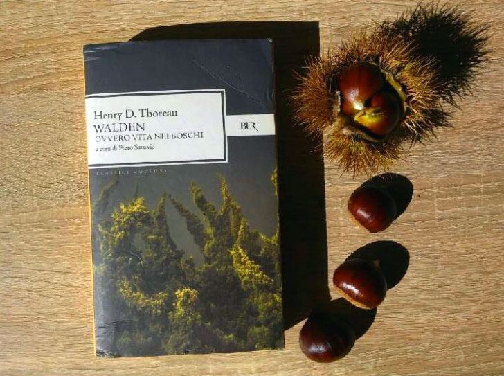 Walden ovvero Vita nei boschi - libro - riassunto