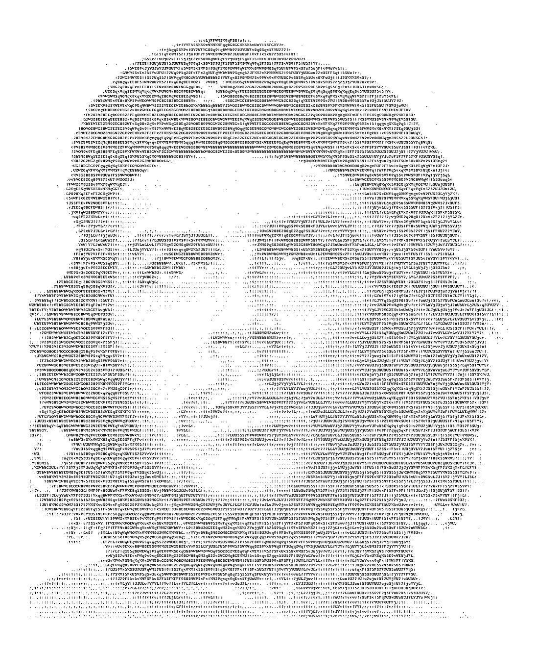 Net ART: ASCII Art Che Guevara
