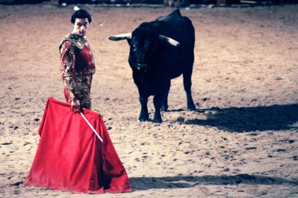 Perchè I Tori Odiano Il Rosso