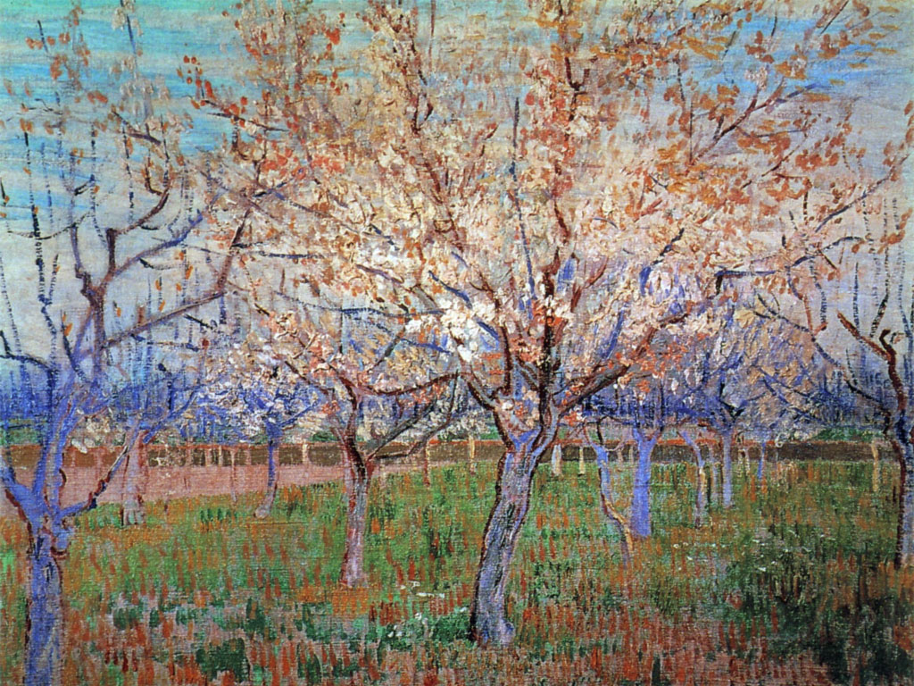 Albicocchi in fiore - Van Gogh