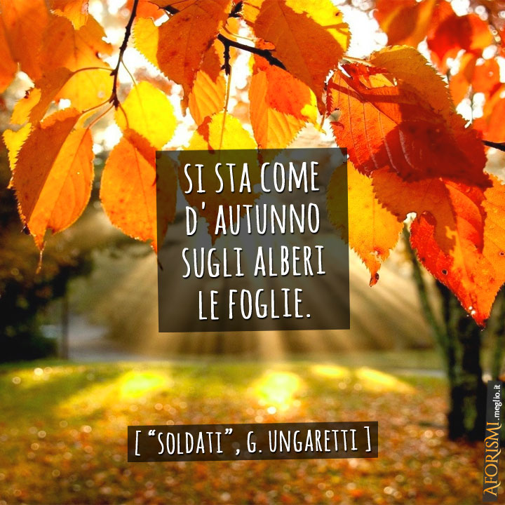 Soldati: Si sta come d'autunno sugli alberi le foglie