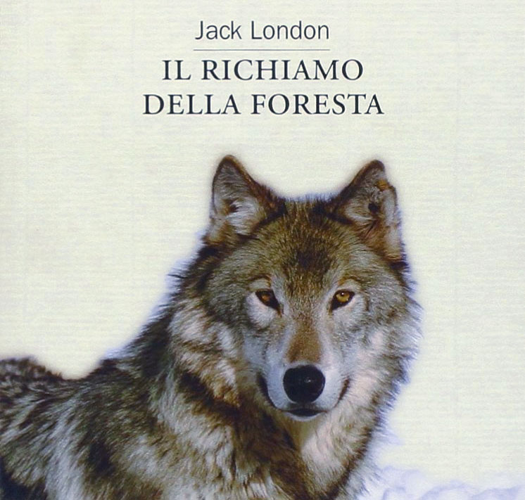 Il richiamo della foresta - Libro - Riassunto - Jack London - Buck