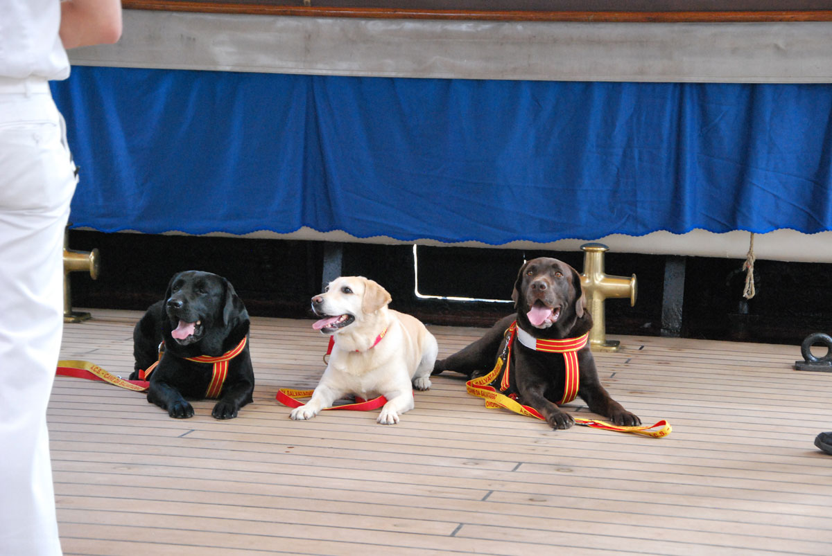I cani della ACS, l’Associazione Cani di Salvataggio, impegnati a supporto dell’equipaggio. I cani della ACS, l’Associazione Cani di Salvataggio, impegnati a supporto dell’equipaggio.