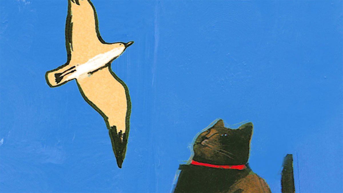 Storia di una gabbianella e del gatto che le insegnò a volare - Bari - il  Tacco di Bacco