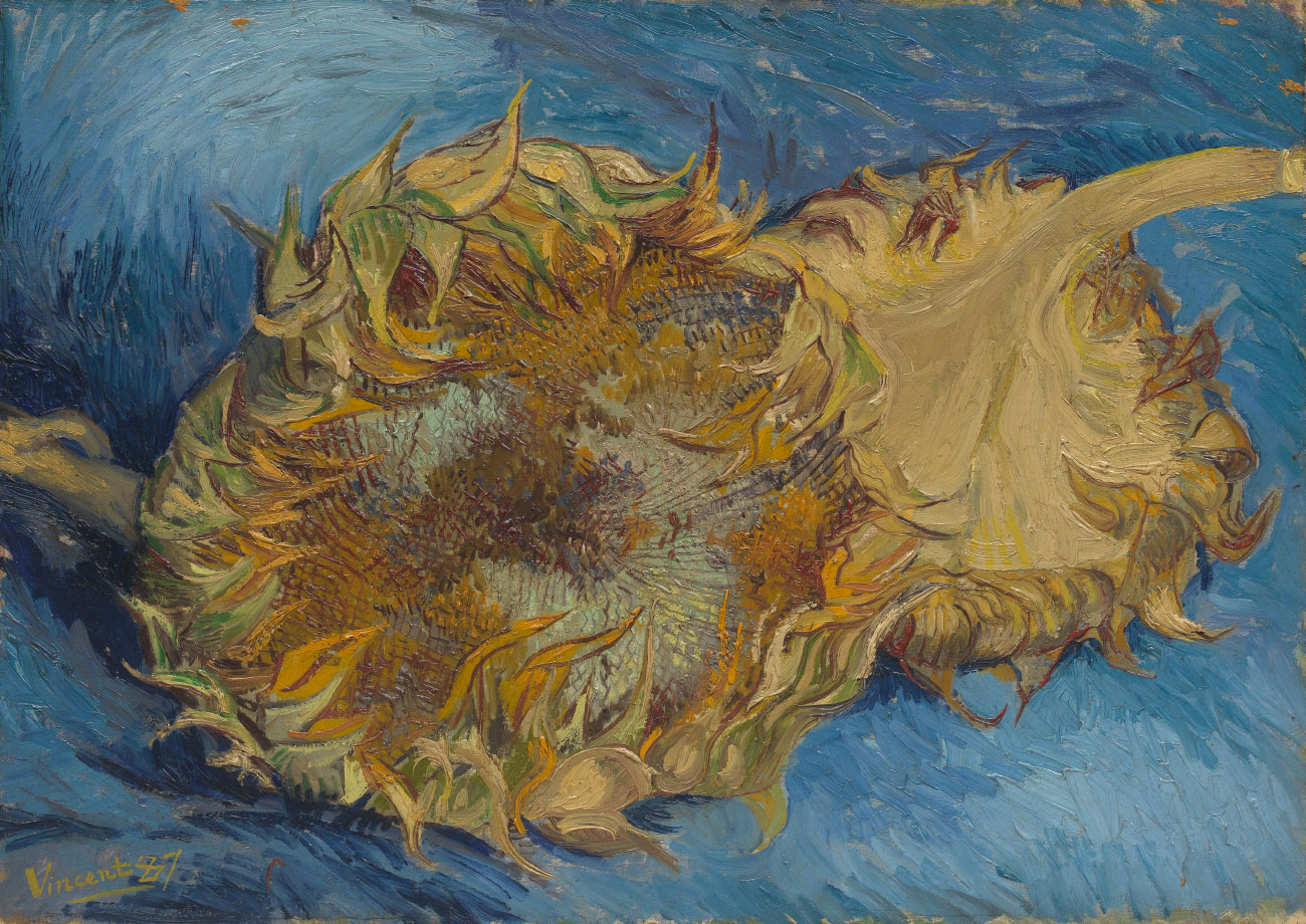 Due girasoli - Van Gogh - Sunflowers
