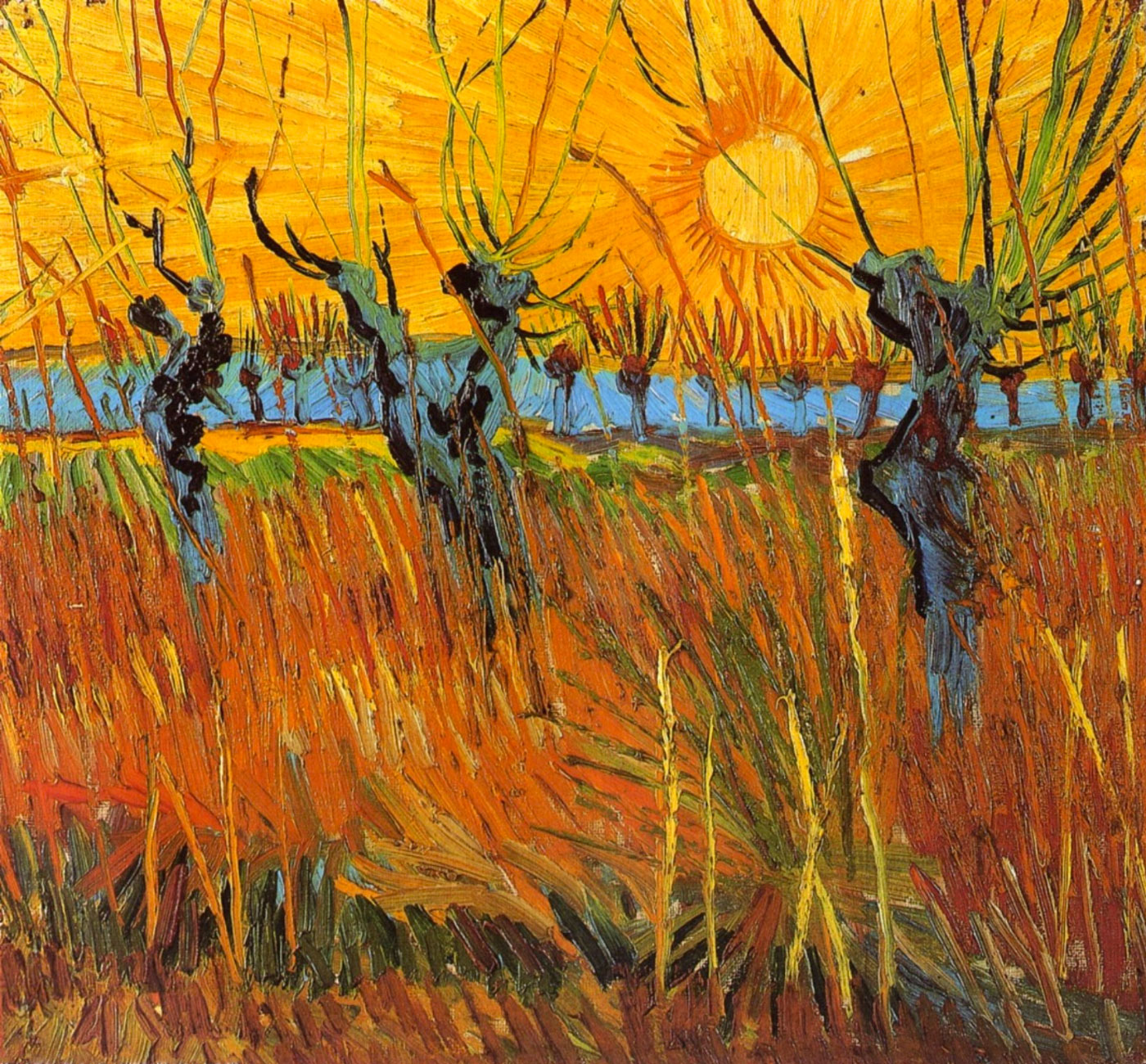 Salici al tramonto - Van Gogh - Pollard willows at sunset