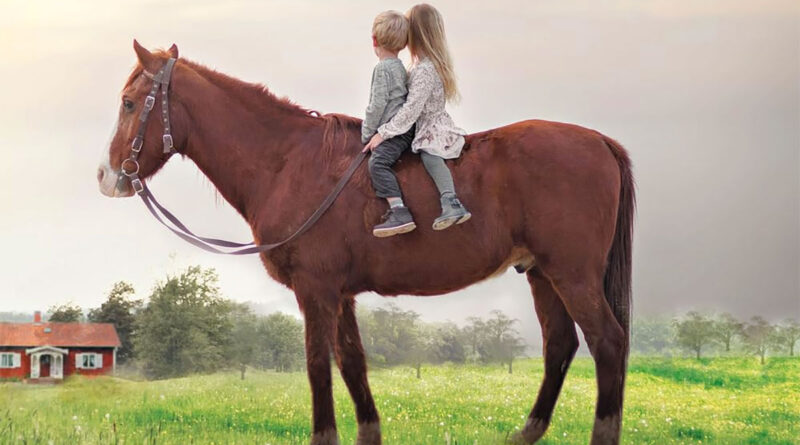 coppia di bambini a cavallo su un prato