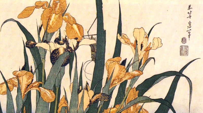 Iris e cavalletta - Hokusai - orizzontale